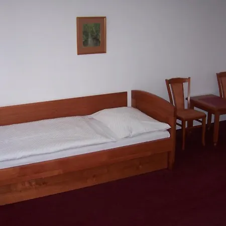 Hotel Pegas Brno